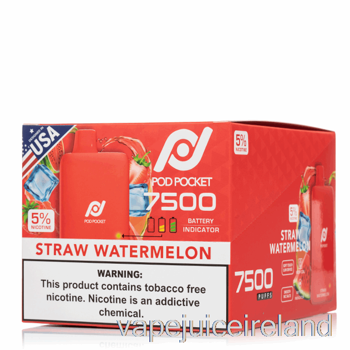 Vape Juice [10-PACK] Pod Pocket 7500 Disposable